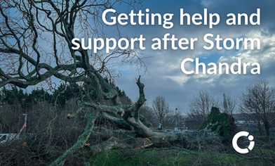 WN_Storm_Chandra_Rectangle_Sticker_Landscape.width-400